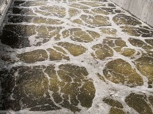 點擊查看詳細信息<br>標題：濟寧金北新城污水廠 曝氣器 填料 閱讀次數：4113